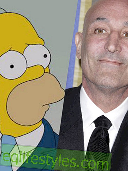 Sam Simon: Dødelig medoppfinner av Simpsons donerer formuen