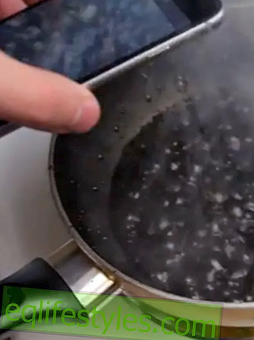 Video de prueba: el hombre cocina el iPhone 6 en Coca-Cola