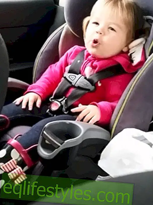חיים - סרטון מתוק: ילד בן שנתיים מנסה לשיר לטיילור סוויפט!