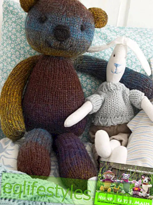 StrickanleitungDIY: инструкции за плетене за Теди