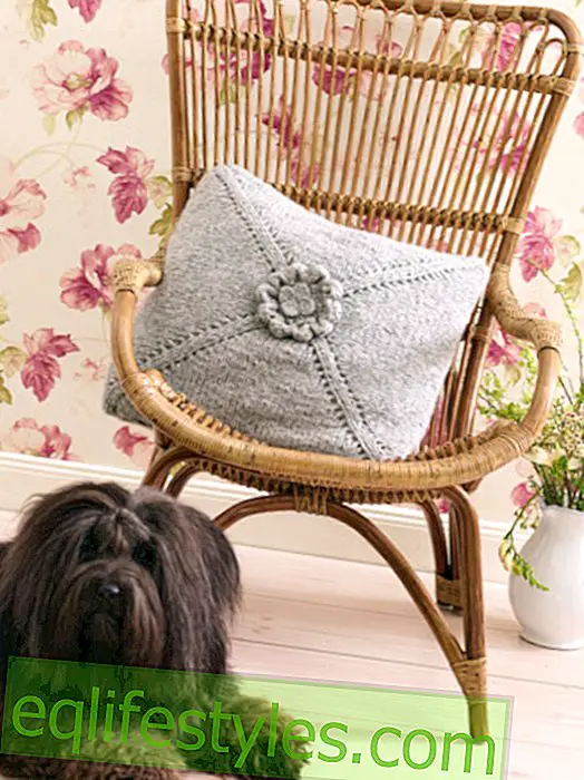Fashion: Knitting instructions for a cushion cover