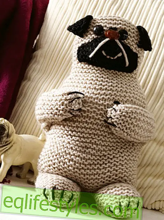 мода - Инструкции за сладко плетено куче