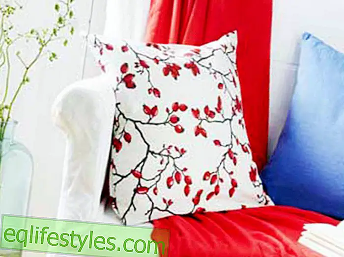 Fashion: Instructions: How to make a rosehip pillow yourself