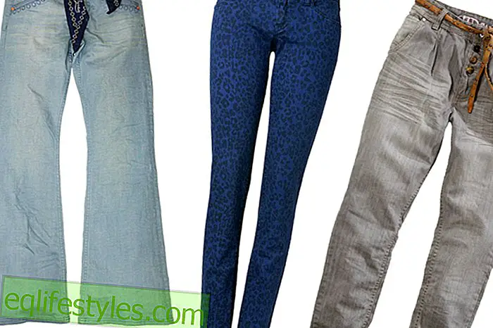 Oblíbené džíny na jaro