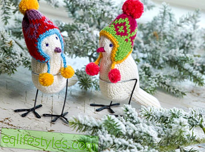мода - Strickanleitung Плетене на плетене на животни: Птици с пухкави шапки за плетене