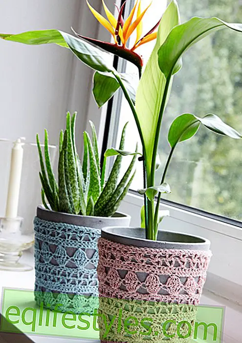 Fashion - tina Special: KnittingInstruction: Crochet covers for flowerpots