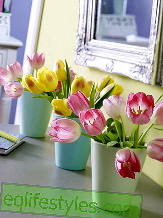 live - Three little vases with tulips