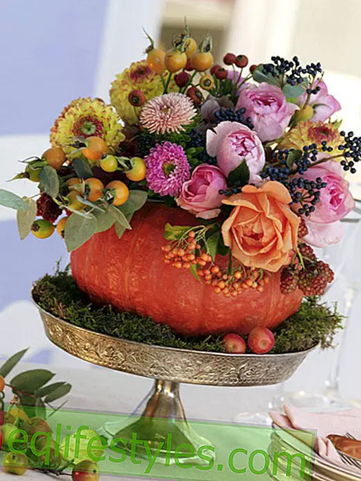 Potiron vase avec bouquet d'automne