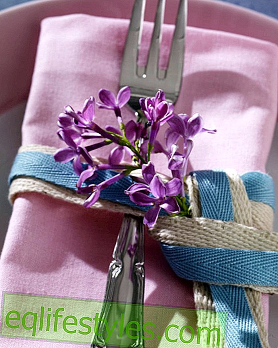 Napkin decoration with lilac