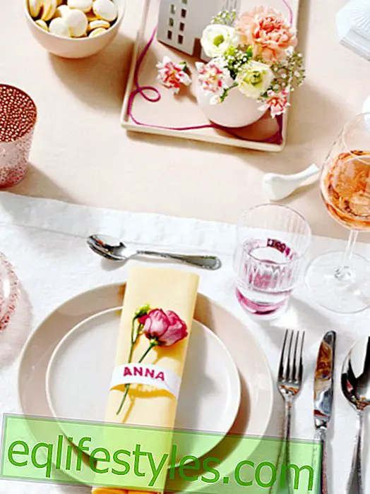 leven - Laten we vieren: romantische tafeldecoratie in rosé en abrikoos
