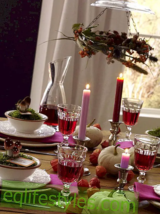 Decorate autumn table