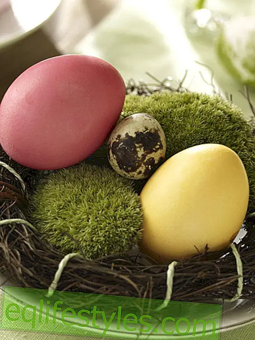 Easter nest with moss