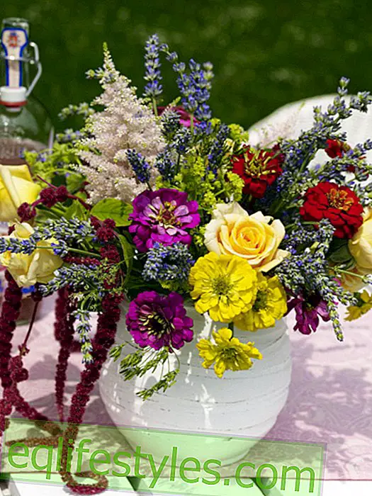 live - Colorful lavender bouquet