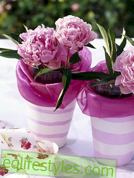 Flower pot vases for the rose table