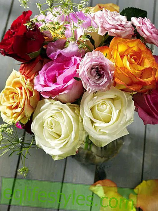Colorful rose arrangement
