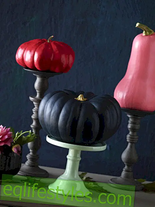 Modern autumn decoration: pumpkin colorful paint