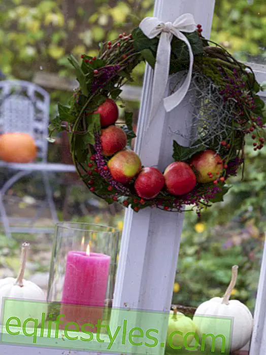 DIY tip: wreath with apples