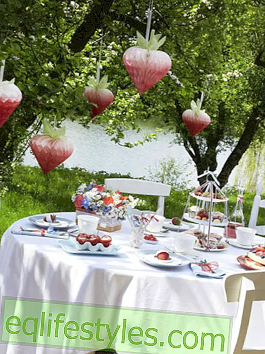 live - Creative table decoration for the garden