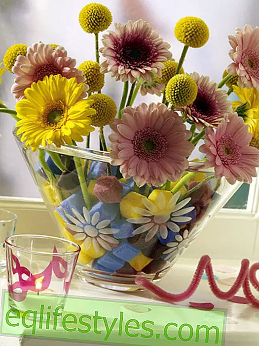 žít - Karneval: květinové dekorace s kostkou Mosy