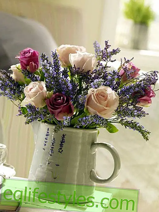 live - Lavender bouquet with roses