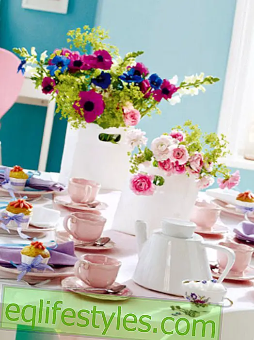 जीना - फूलों के साथ टेबल सजावट: खिलने में कॉफी टेबल