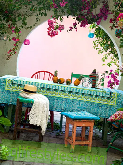 hidup: Ide dekorasi segar dengan tanaman untuk di dalam dan di luar ruangan