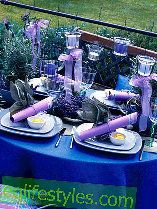 Levandule: stolní dekorace v modré a fialové barvě