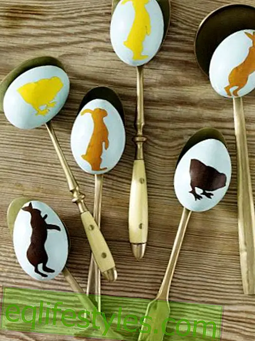 Eggs with paper cut