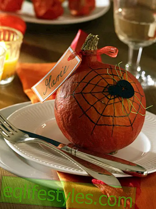 Pumpkin with spider web: place card for Halloween