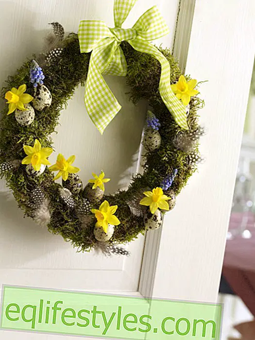 live - Easter wreath of moss with eggs