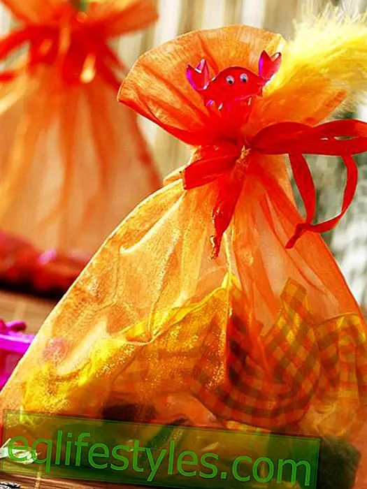 Buffet du réveillon du Nouvel An: des sacs de cadeaux des Caraïbes