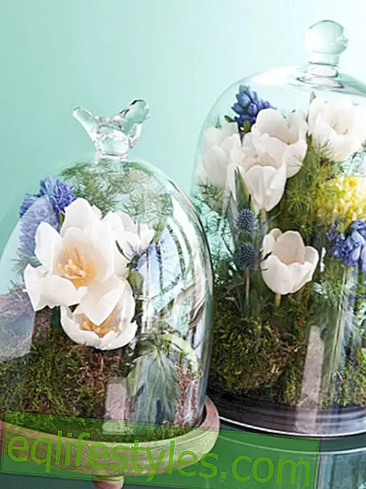 Make floral arrangements yourself - with instructions
