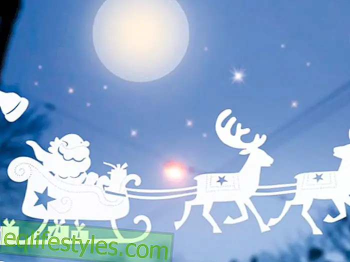 Santa Claus in reindeer sled