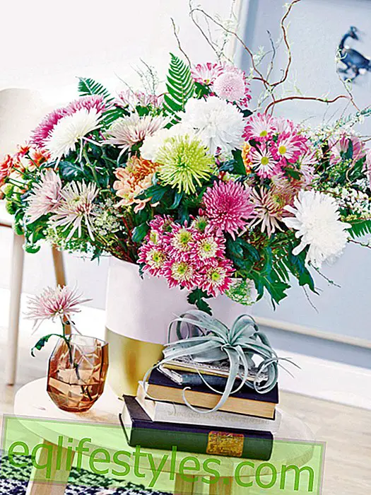 live: Summery flowers: Decorate with chrysanthemums
