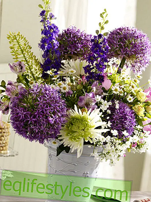 Bouquet: Allium dans un mélange de fleurs pourpres