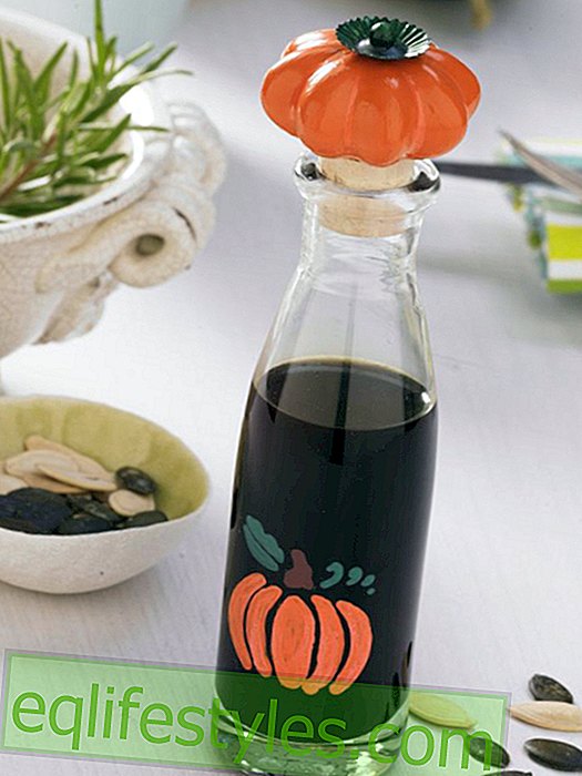 Spiced pumpkin seed oil bottle