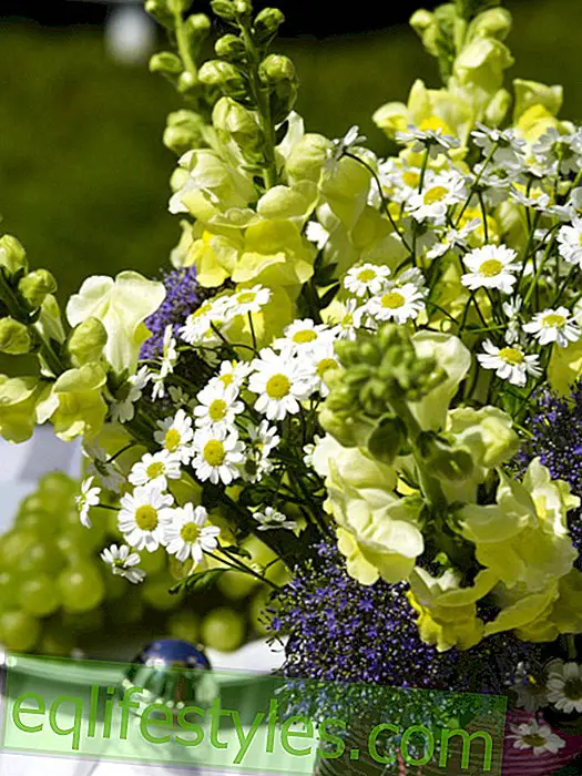 Flower idea for the summer festival: Summer bouquet with snapdragons