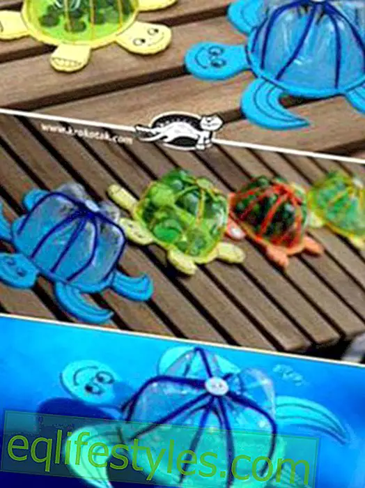 Decorative turtles from plastic bottles - with instructions
