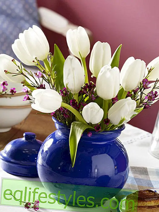 live - White tulips with wax flowers