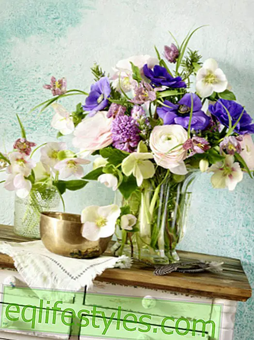 Fleurs de printemps: six bouquets pour vous lier