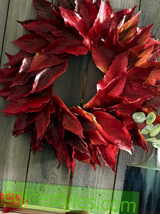 Направи си идеи: Autumnal Deco Идеи с зеленина