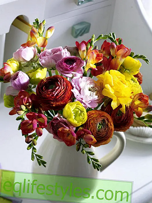 Spring bouquet with ranunculus and freesia
