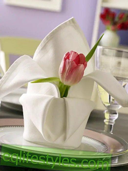 Simple folding instructions for napkins