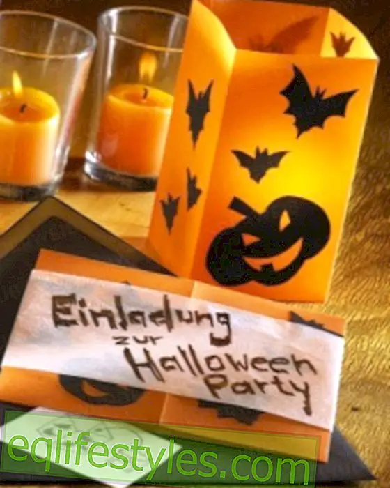 Halloween: invitation card hurricane
