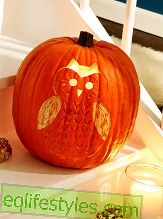 Chic carving: Decorate autumn pumpkin