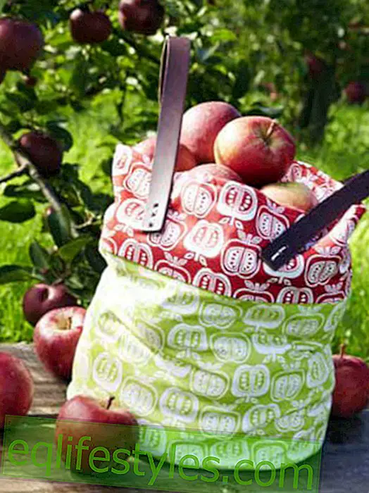 Instructions for a bag with apple motif