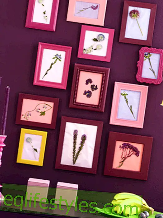 Picture frame with pressed flowers