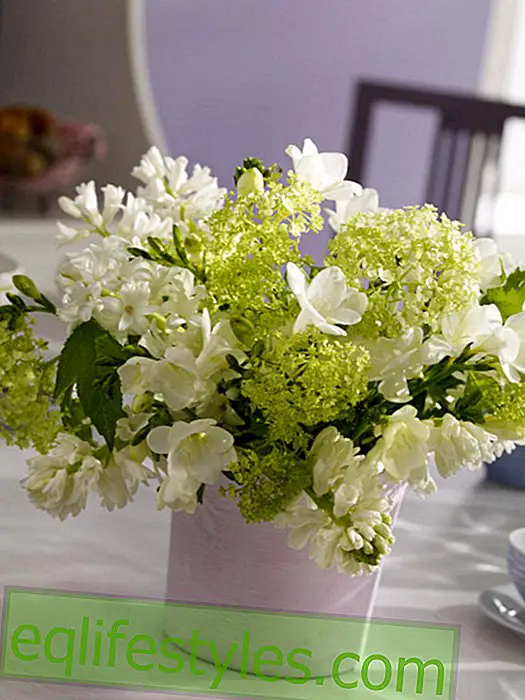 live: Spring bouquet of white flowers
