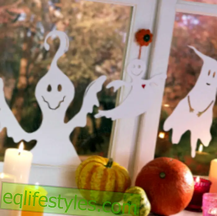 Halloween: fantasma de ventana amigable