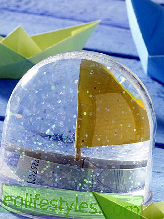 Snow globe with banknote